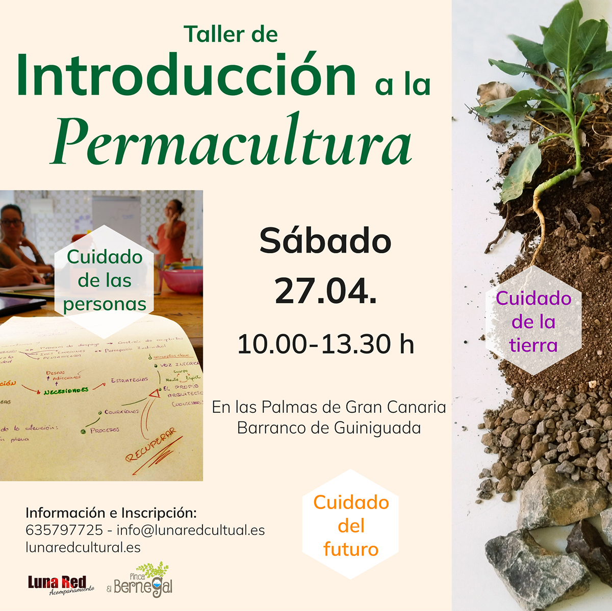 Introducción a la Permacultura – Gran Canaria
