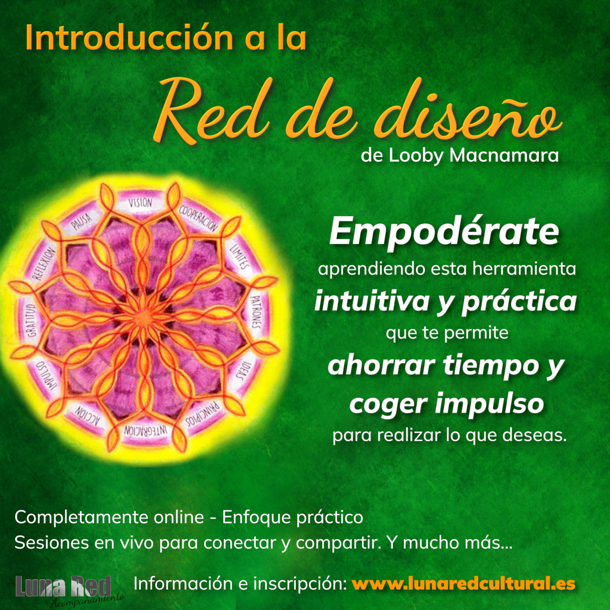Introducción a la Red de Diseño